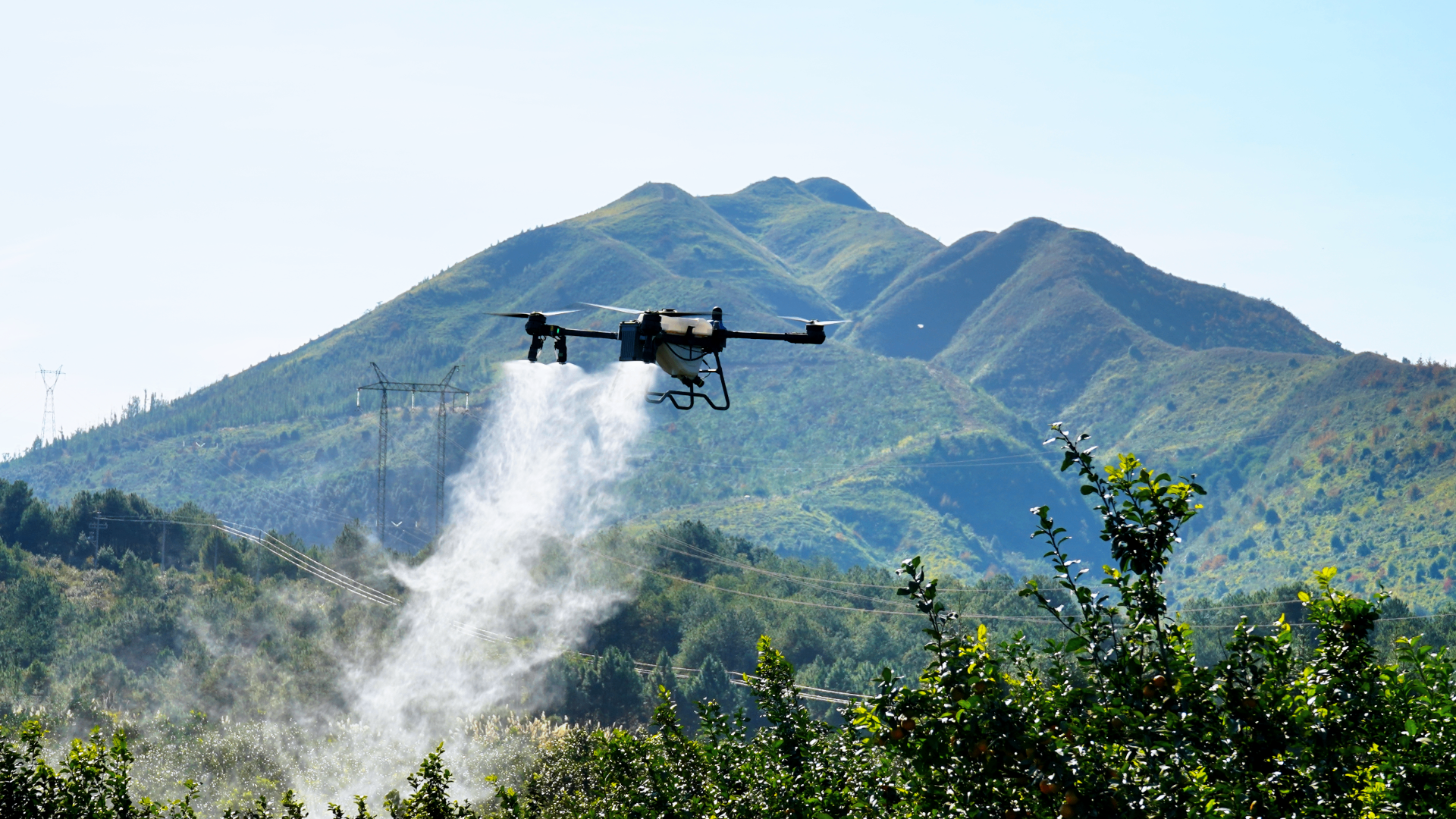 J150 spraying mountain citrus