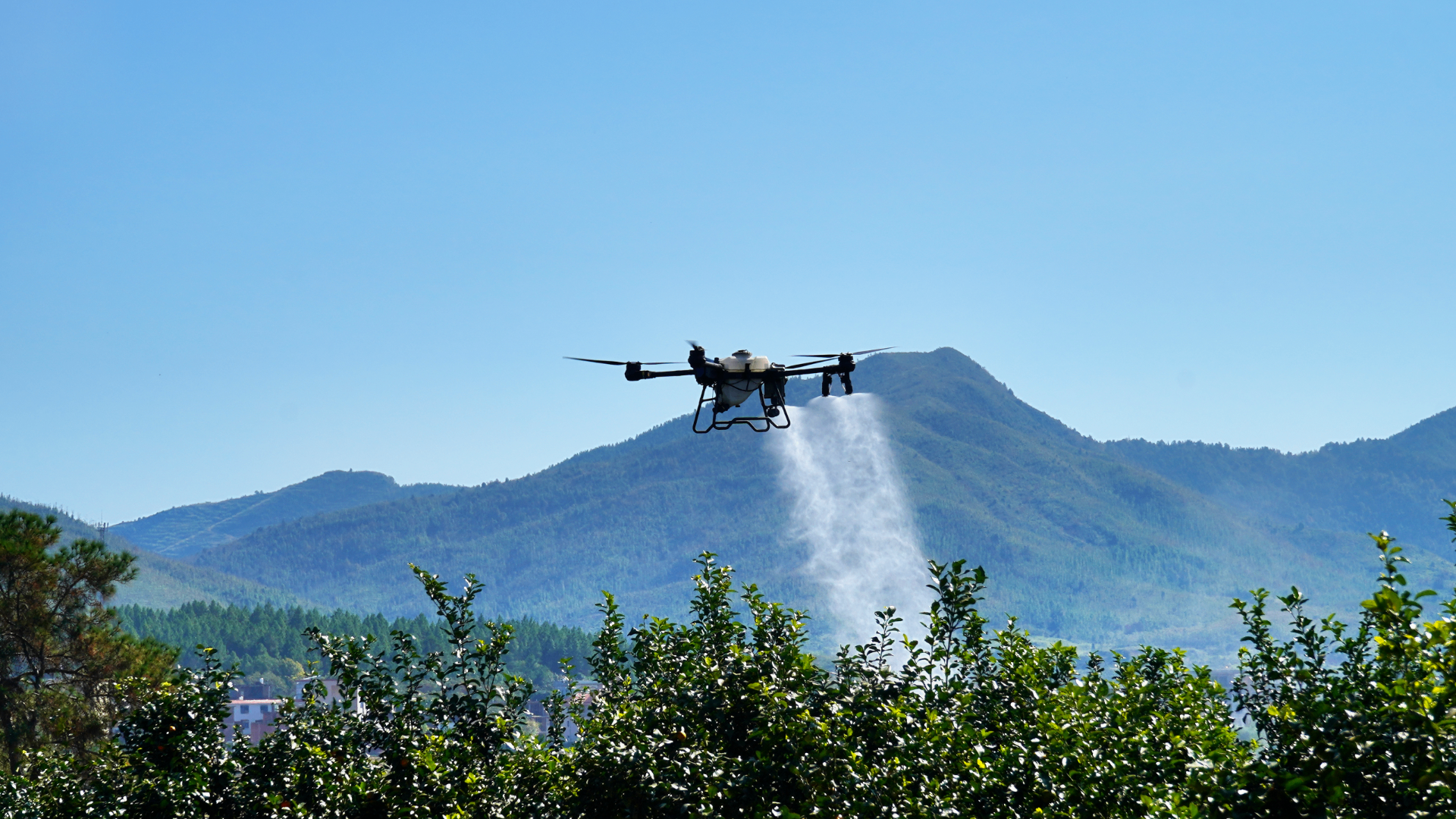 EAVision J150 spraying citrus orchard