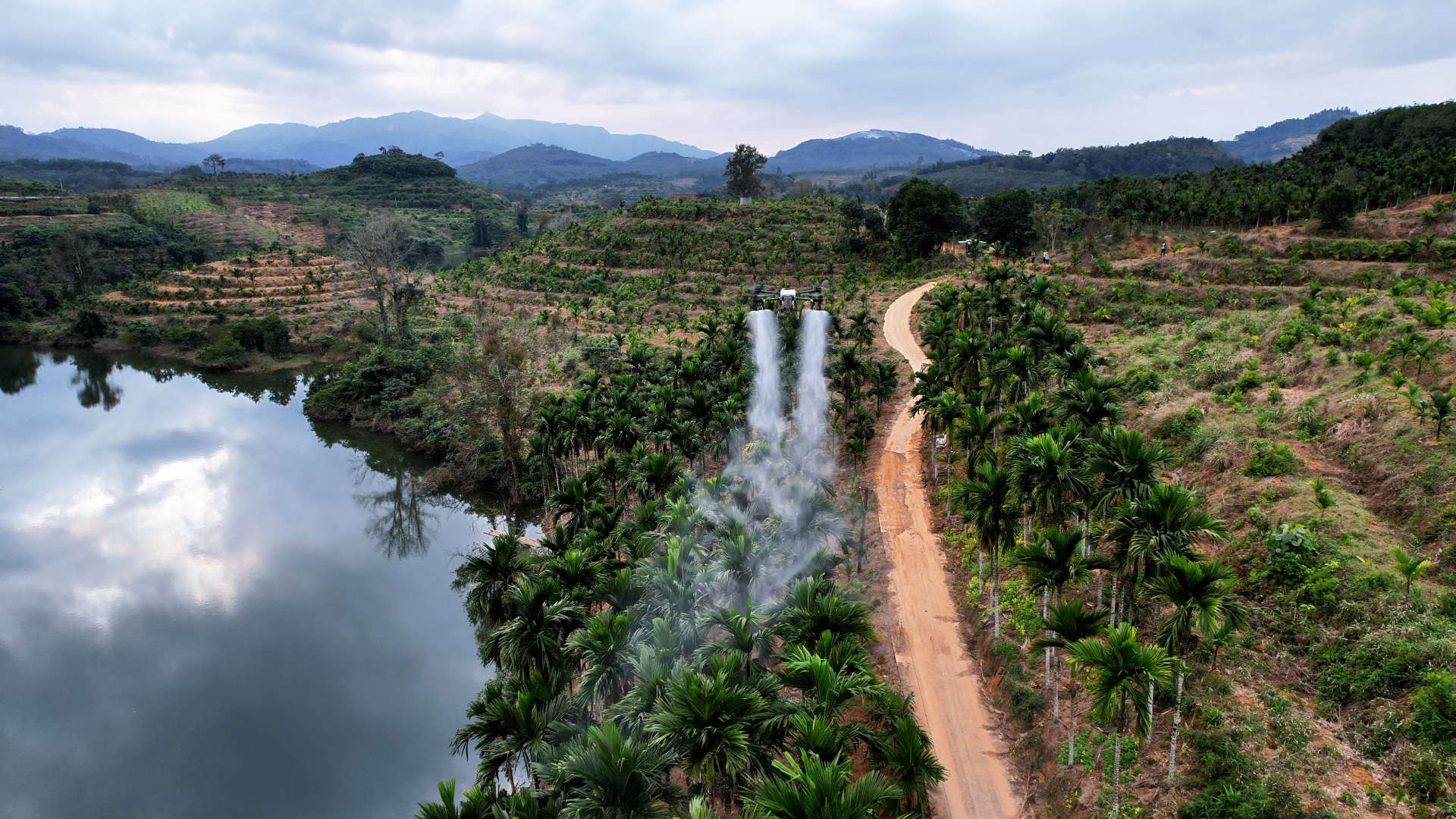 J150 spraying palm plantation